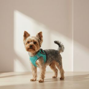 Picture for category Hundegeschirre