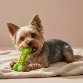 Picture for category Hundespielzeug