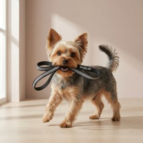 Picture for category Zubehör für Hundegeschirr